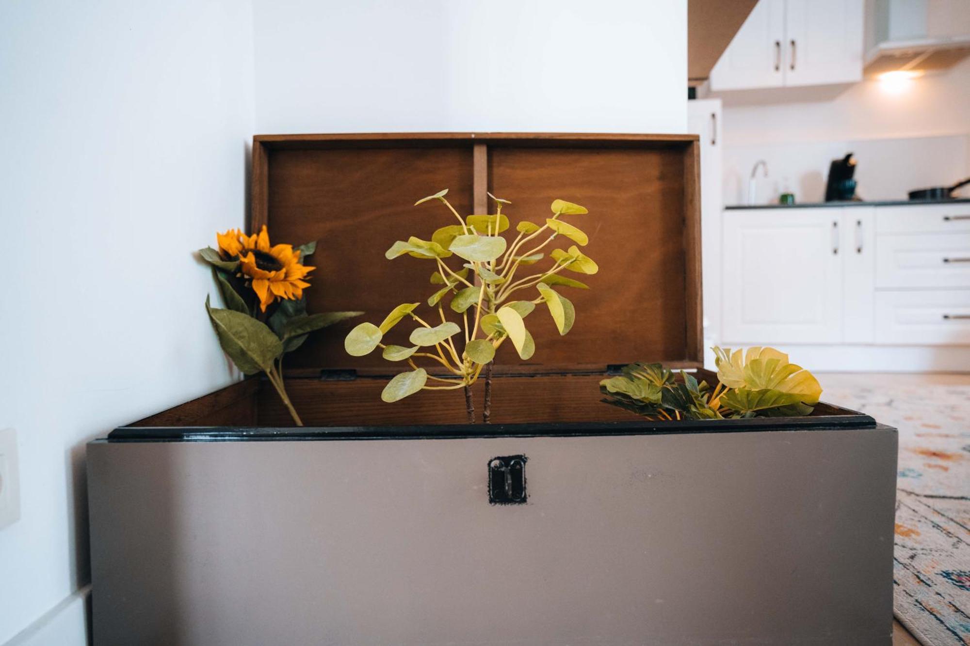 Appartement Les Petits Roys à Châteauroux Extérieur photo